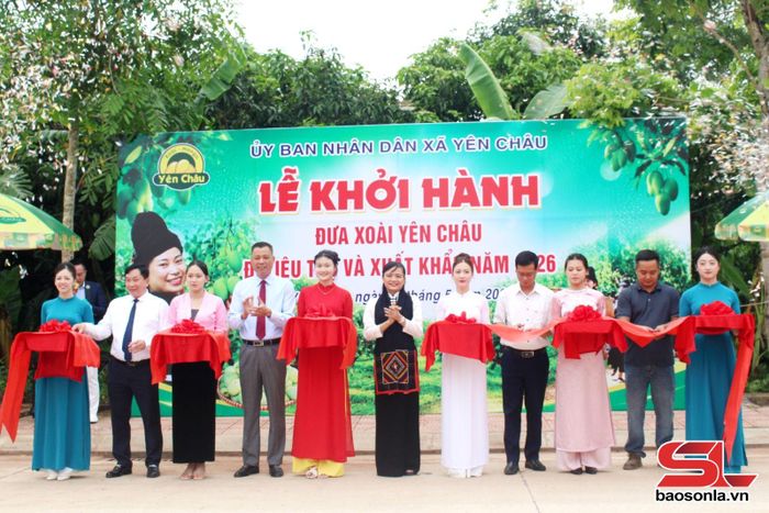 Các đại biểu cắt băng khởi hành đưa xoài Yên Châu đi tiêu thụ và xuất khẩu.