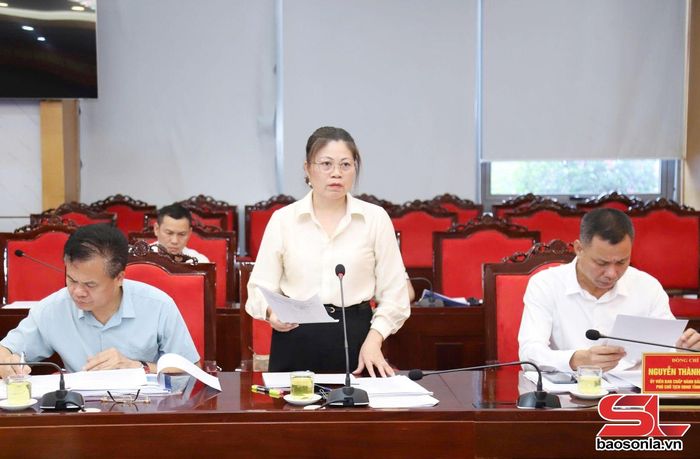 Lãnh đạo Sở Tài chính phát biểu tại cuộc làm việc.