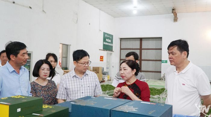 Đồng chí Đinh Quang Tuyên và Đoàn công tác thăm khu vực sản xuất của Công ty CP Chè Hà Thái.
