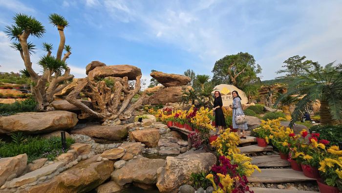 Trước đó, thời điểm đầu năm 2025, phóng viên Báo Giao thông (Báo Xây dựng) đã đi thực tế ghi nhận quá trình tổ chức thi công xây dựng công trình trên đất nông nghiệp và tổ chức bán vé cho du khách tại The Peak Phú Quốc.