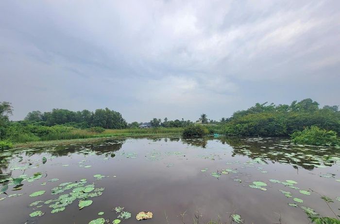 Khu vực bán đảo Thanh Đa - Bình Quới có phần lớn diện tích đất hiện nay là ao nuôi cá, đầm nước. Ảnh: Quang Phương