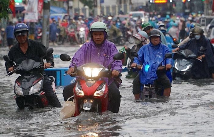 Trên địa bàn TP. Hồ Chí Minh, mỗi khi mưa lớn, nhiều tuyến đường bị ngập nước