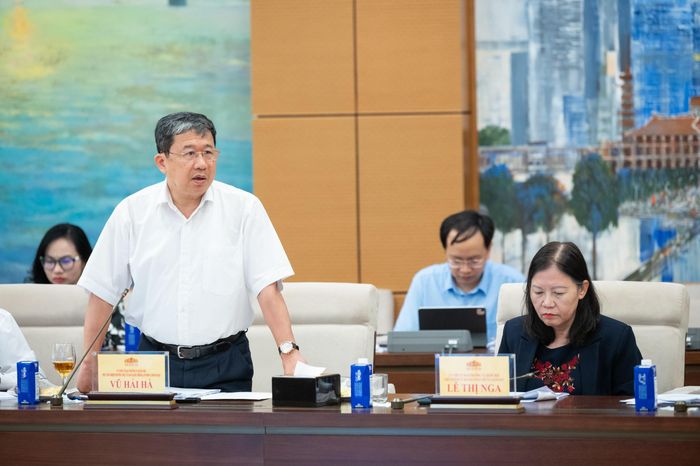 Phó Chủ nhiệm Thường trực Ủy ban Quốc phòng, An ninh và Đối ngoại Vũ Hải Hà phát biểu