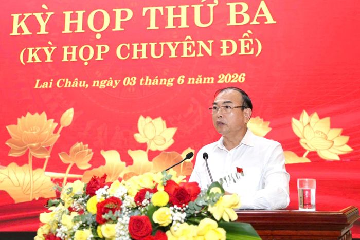 Phó Chủ tịch UBND tỉnh Nguyễn Sỹ Cảnh trình các tờ trình của UBND tỉnh