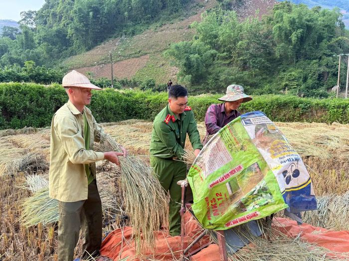  Cán bộ Công an xã Long Hẹ hỗ trợ người dân thu hoạch. 