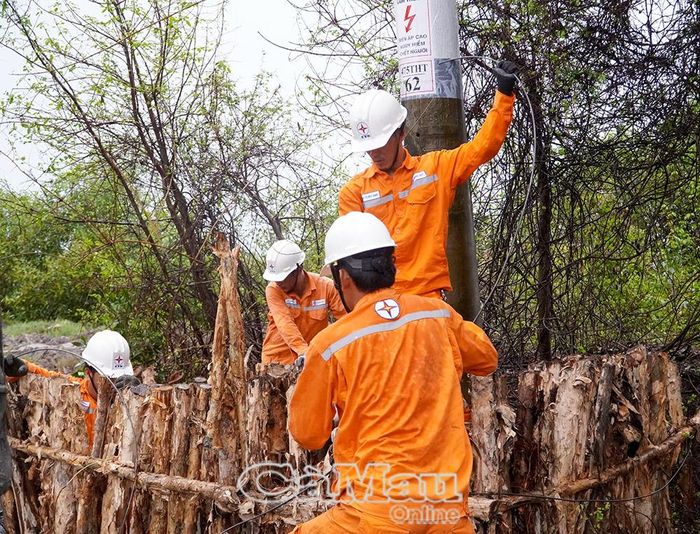 Trước mùa mưa, ngành điện đã chủ động rà soát và gia cố những trụ điện có nguy cơ đổ ngã khi có dông, lốc xoáy, nhằm đảm bảo an toàn cho hệ thống điện.