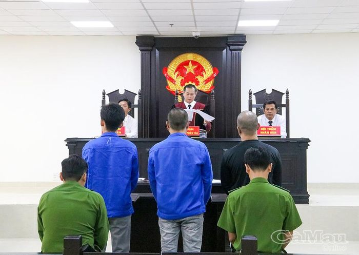  Hội đồng xét xử TAND khu vực 6 - Cà Mau tuyên án đối với các bị cáo trong vụ án mua bán trái phép chất ma túy.