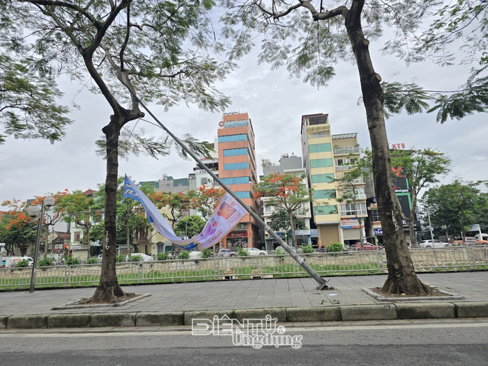 Biển quảng cáo mang thương hiệu Thế Giới Di Động được buộc vào cây xanh và cột điện trên đường Bưởi, phường Giảng Võ. Sau thời điểm gió lớn xuất hiện, cột điện tại khu vực này bị đổ nghiêng xuống vỉa hè.