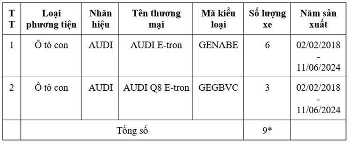 Audi triệu hồi E-tron và Q8 E-tron tại Việt Nam