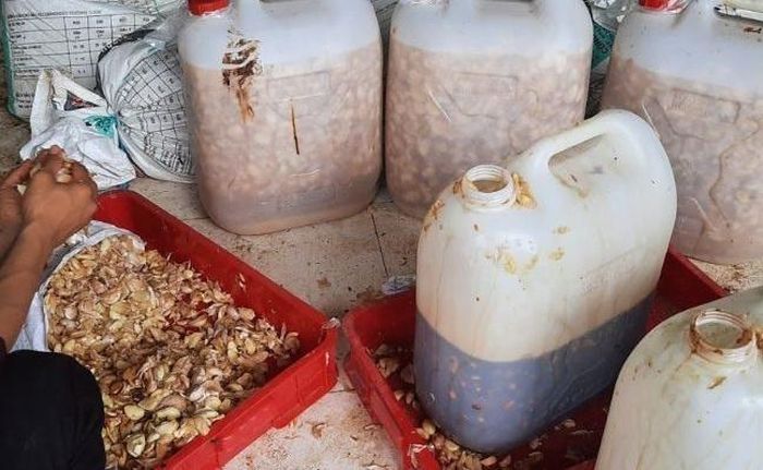 Trong xu thế phát triển nông nghiệp hữu cơ và giảm phát thải hiện nay, men tỏi đang khẳng định vai trò là một giải pháp sinh học hiệu quả, thân thiện với môi trường và an toàn cho sức khỏe cộng đồng