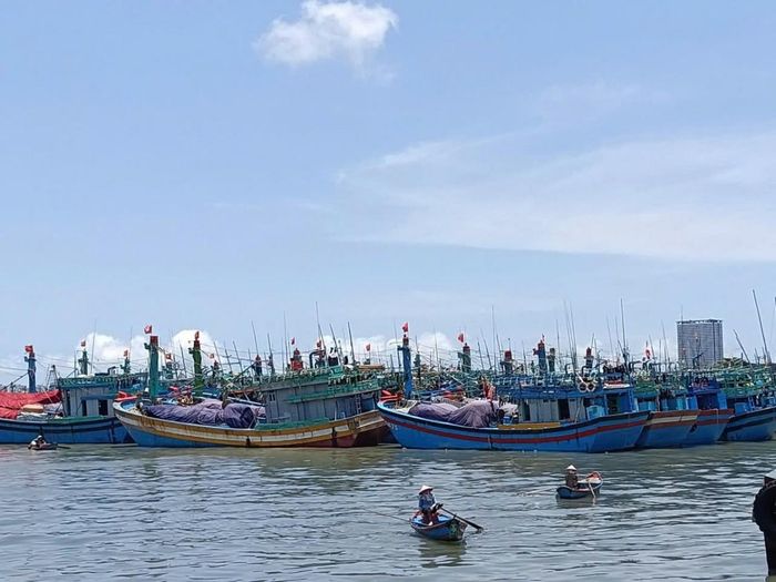  Tàu cá sau khi giải bản được tập kết tại khu vực lưu giữ do địa phương quản lý. 