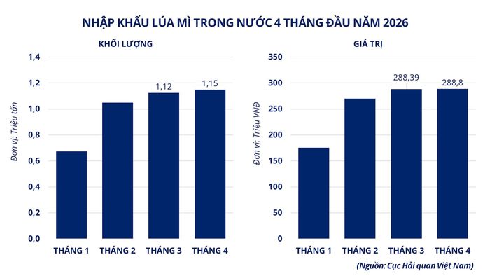 Nhập khẩu lúa mì trong nước 4 tháng đầu năm 2026. Nguồn: MXV