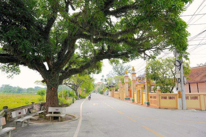 Mỗi phường, xã có không gian văn hóa riêng, gắn với đặc thù từng địa bàn. Ảnh: Lại Tấn