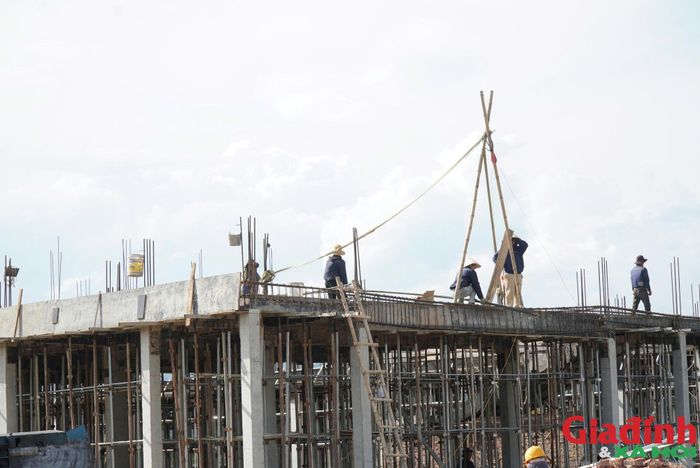 Nghệ An phấn đấu hoàn thành các trường liên cấp trước năm học mới 2026-2027.