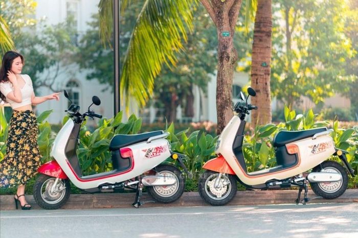So với nhiều mẫu xe máy chạy xăng cùng tầm giá, Ally Autosun A3 gần như không tạo ra tiếng ồn đáng kể, mang lại cảm giác thoải mái hơn khi sử dụng hàng ngày
