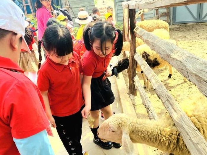Nhiều gia đình đăng ký cho con tham gia hoạt động trải nghiệm dịp hè.
