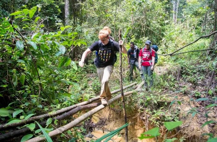 Người đi trek ở rừng núi cần hạn chế tối đa gây ảnh hưởng đến môi trường. Ảnh minh họa: Malaysian Wildlife.
