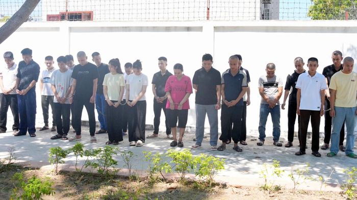  Nhóm thực hiện hành vi lừa đảo bị bắt giữ. Ảnh: CA. 