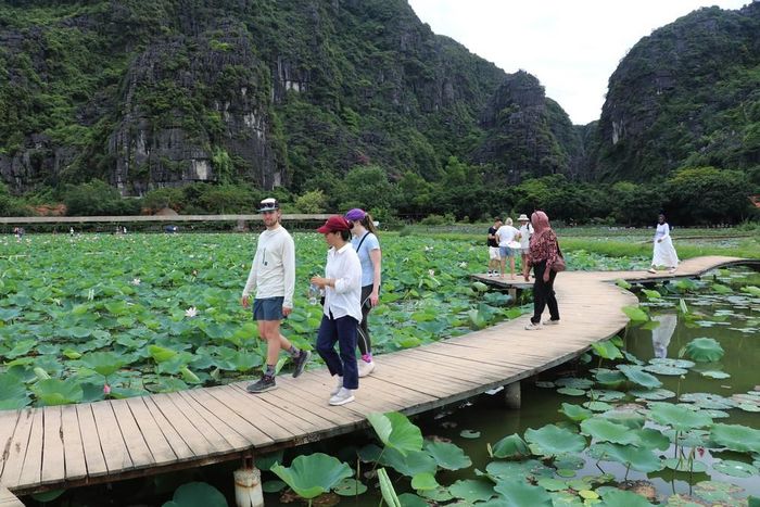 Sức hấp dẫn của đầm sen Hang Múa níu giữ chân đông đảo du khách trong nước và quốc tế. Ảnh: Thùy Dung - TTXVN