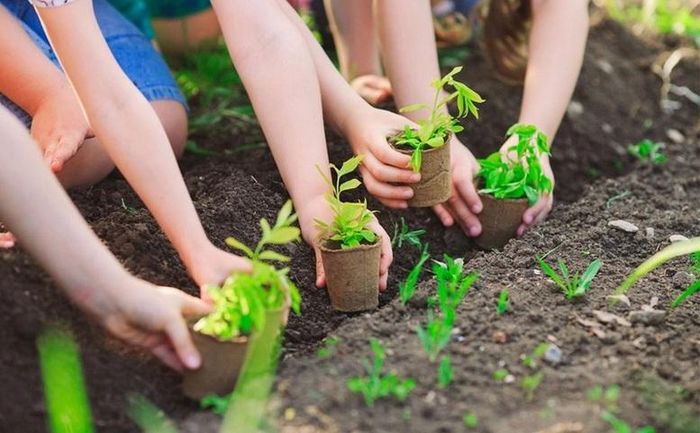Phát triển xanh, bảo vệ môi trường, bảo vệ đại dương và ứng phó biến đổi khí hậu là nhiệm vụ chung của toàn hệ thống chính trị, cộng đồng doanh nghiệp, từng địa phương, từng gia đình và mỗi người dân.