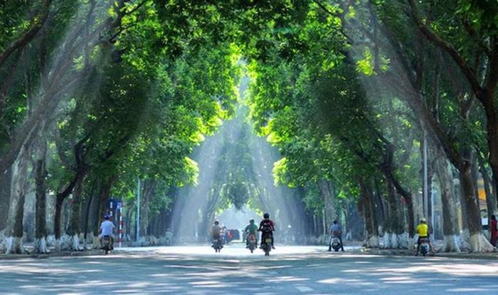 Đầu tư cho thiên nhiên là đầu tư cho tương lai.