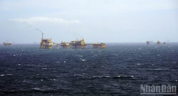 Cụm giàn khai thác dầu khí của Vietsovpetro ngoài khơi Vũng Tàu.