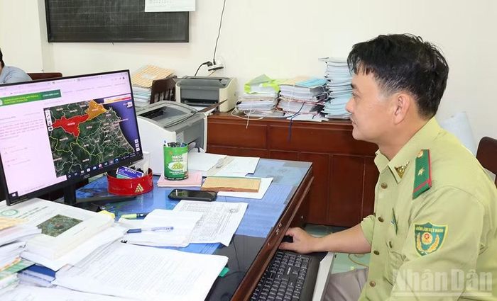 Cán bộ kiểm lâm Quảng Ngãi giám sát cảnh báo cháy rừng từ vệ tinh.