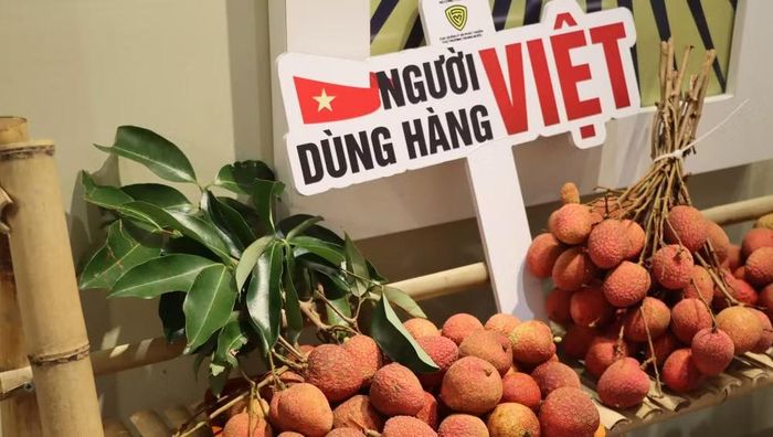 Những khay vải u hồng vừa thu hoạch được vận chuyển thẳng từ vùng trồng tới phố Tràng Tiền, mang hương vị đầu mùa đến với người tiêu dùng Thủ đô.