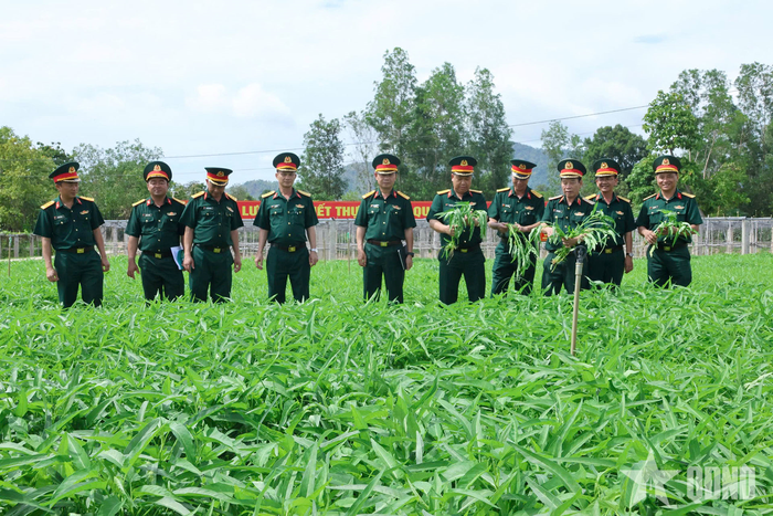 Thiếu tướng Lê Văn Cương, Phó tư lệnh Quân đoàn 34 kiểm tra vườn tăng gia sản xuất của Trung đoàn 66. 