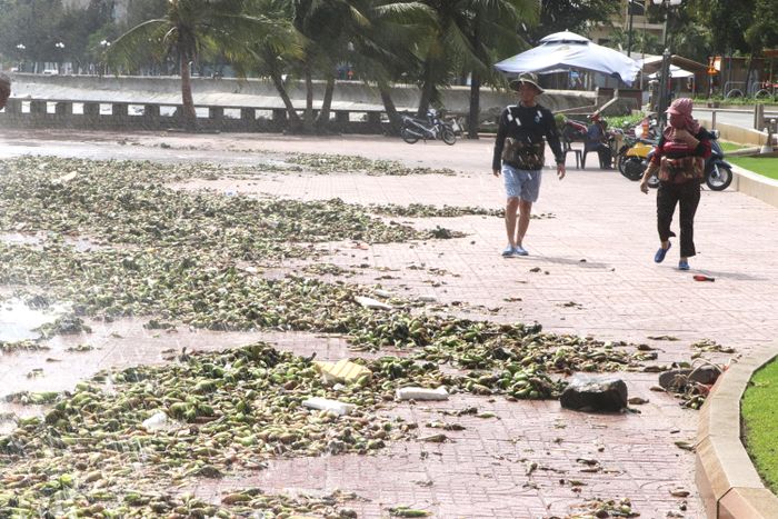  Và bị sóng đánh tràn lên cả vỉa hè, công viên. Ảnh: QUANG VŨ 