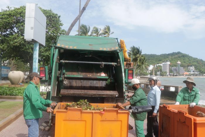  Lục bình sau khi thu gom được đưa lên xe cuốn ép để giảm bớt nước trước khi vận chuyển về khu xử lý chất thải tập trung. Ảnh: QUANG VŨ 