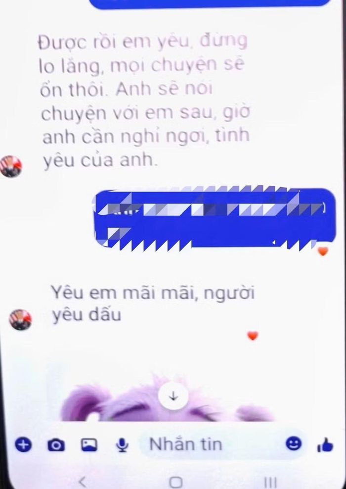Một đoạn trong tin nhắn của đối tượng lừa đảo qua không gian mạng nhắn tin cho nạn nhân (ảnh:CACC)