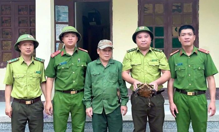 Cơ quan chức năng tiếp nhận cá thể rùa núi viền quý hiếm thả về tự nhiên