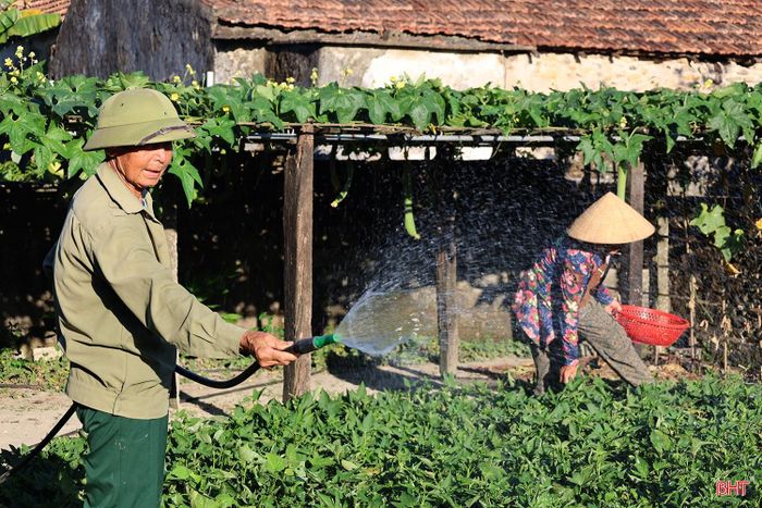 Với sự khuyến khích của chính quyền phường, nhiều hộ dân đã chủ động quy hoạch lại khuôn viên, cải tạo đất và lựa chọn trồng các loại rau màu ngắn ngày phù hợp với điều kiện thổ nhưỡng cũng như nhu cầu của thị trường.