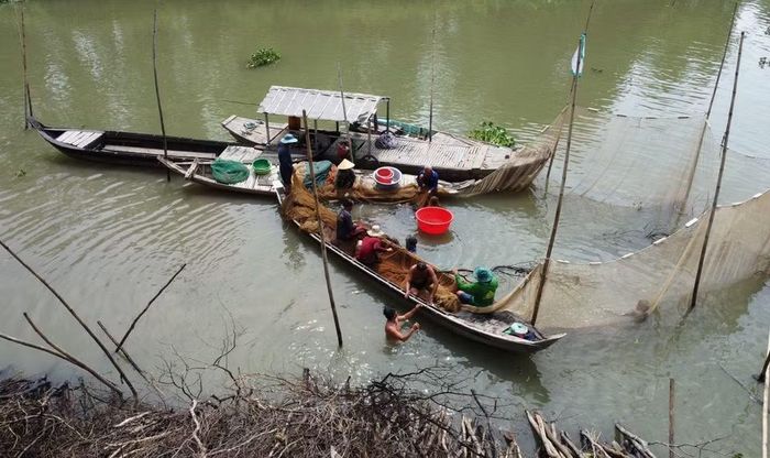 Công việc dỡ chà tạo việc làm cho nhiều lao động địa phương. (Ảnh: Nhựt An/TTXVN)