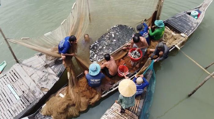 Dỡ chà là phương thức đánh bắt thủy sản thuận thiên, vừa khai thác, vừa gắn với bảo tồn và tái tạo nguồn lợi thủy sản. (Ảnh: Nhựt An/TTXVN)