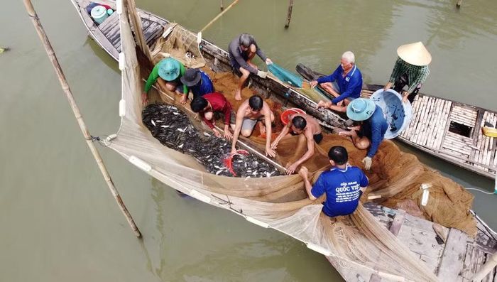 Người dân dỡ chà, bắt được nhiều loại cá. (Ảnh: Nhựt An/TTXVN)
