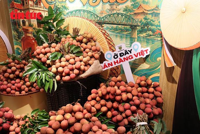 Những chùm vải sớm Bắc Ninh được trưng bày tại Không gian “Sức sống hàng Việt”, số 62 Tràng Tiền, Hà Nội.
