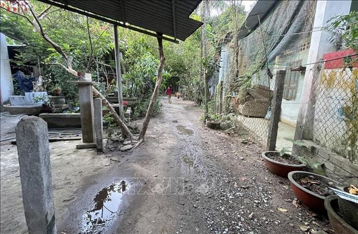 Khu II đê bao xập xệ sau gần 30 năm nằm trong quy hoạch treo.