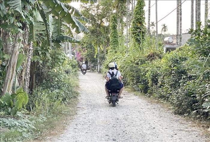 Một tuyến đường kết nối vào Khu II đê bao vẫn là đường đất đá lỡm chỡm.