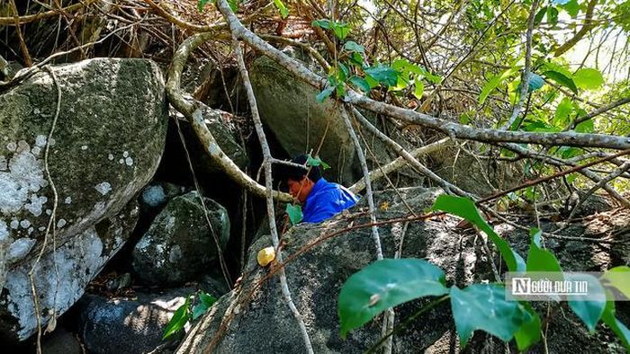 Nơi sinh sống tự nhiên của thằn lằn núi Bà Đen chủ yếu tại các khe đá, sườn núi hiểm trở.