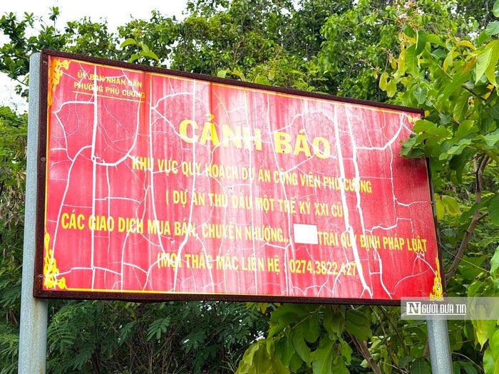 Đến ngày 26/12/2016, UBND tỉnh Bình Dương đã ban hành Quyết định số 3577/QĐ-UBND thu hồi dự án từ Công ty Tân Vũ Minh, đồng thời, giao cho Trung tâm Phát triển Quỹ đất thuộc Sở Tài nguyên và Môi trường làm chủ đầu tư bằng vốn ngân sách Nhà nước, để chuyển sang thực hiện dự án Công viên Phú Cường (gồm khu nhà ở tái định cư và công viên) trong giai đoạn 2017-2019.