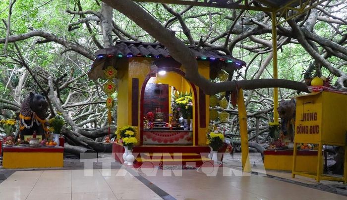 Miếu thờ bà Thượng Động Cố Hỉ (hay Hỷ) tại Di tích lịch sử Giàn Gừa. Ảnh: Nguyễn Hằng – TTXVN
