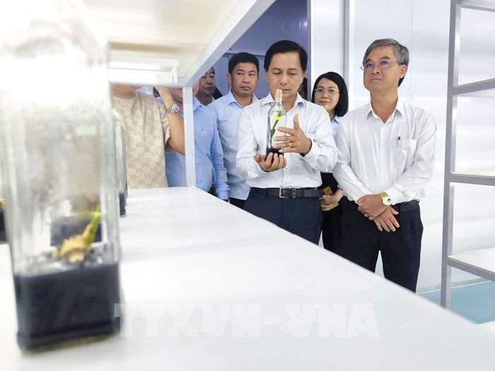 Đoàn công tác khảo sát thực tế ứng dụng công nghệ cao trong sản xuất cây giống tại xã Chợ Lách. Ảnh: Huỳnh Phúc Hậu - TTXVN