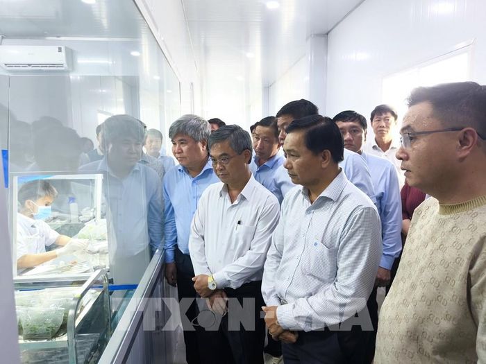 Đoàn công tác khảo sát thực tế ứng dụng công nghệ cao trong sản xuất cây giống tại xã Chợ Lách. Ảnh: Huỳnh Phúc Hậu - TTXVN