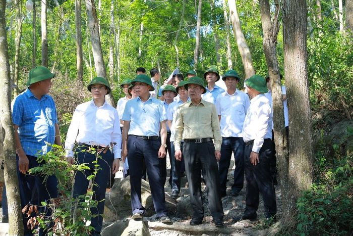 Bí thư Tỉnh ủy Lê Đức Thái và các thành viên trong đoàn kiểm tra thực địa Dự án Khu vườn đảo hoang và Hoài niệm thuộc Khu du lịch văn hóa sinh thái núi Trường Lệ.