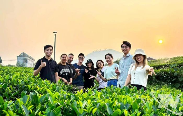 Các dự án du lịch gắn với văn hóa trà sẽ góp phần quan trọng trong quảng bá thương hiệu chè Thái Nguyên ra thị trường trong và ngoài nước.
