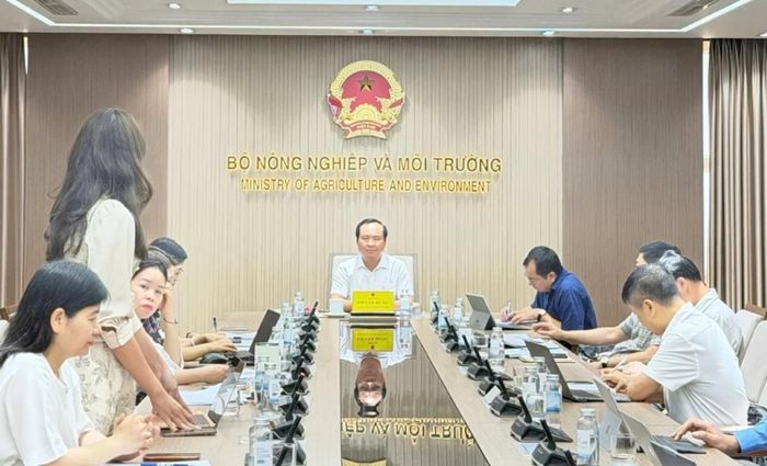 Thứ trưởng Võ Văn Hưng chủ trì cuộc họp.