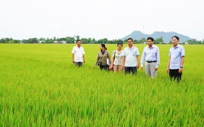 Thường trực UBND và cán bộ xã Tân Hội khảo sát thực tế để thành lập hợp tác xã.