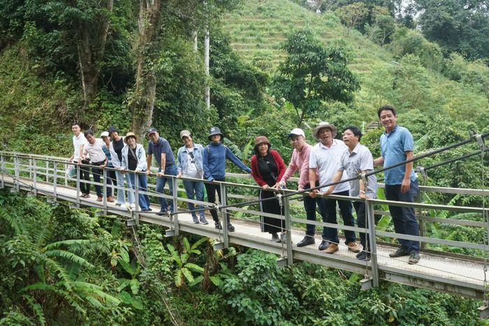 Du lịch vùng dược liệu được xem là một không gian trải nghiệm mới có thể thu hút lượng lớn du khách. Ảnh: Phú Thiện